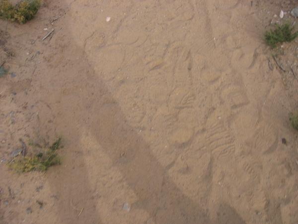 090 where no man has gone before