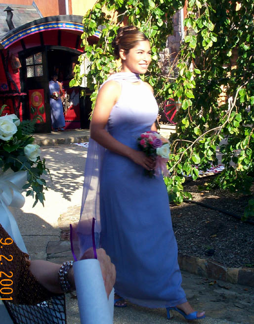 63sandra processinal